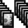Americanflat 4x6 Picture Frame with Polished Plexiglass - Set of 12 - Signature Collection - Picture Frames with Engineered Wood - Gallery Wall...