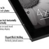 Americanflat 4x6 Picture Frame with Polished Plexiglass - Set of 12 - Signature Collection - Picture Frames with Engineered Wood - Gallery Wall...