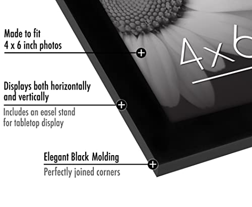 Americanflat 4x6 Picture Frame with Polished Plexiglass - Set of 12 - Signature Collection - Picture Frames with Engineered Wood - Gallery Wall...