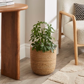 Seagrass Plant Pot Seagrass Plant Pot