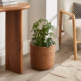 Seagrass Plant Pot